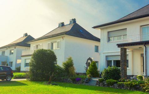 tree services san jose