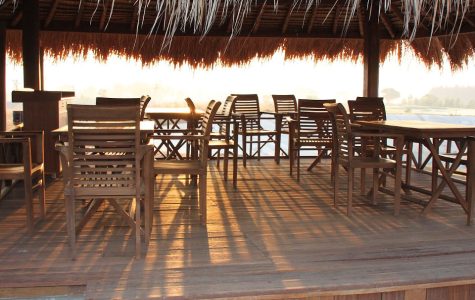 How to Complete a Landscape Design Project on Your Own? | SOD Home Group